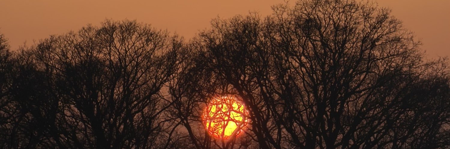 Nazmul Hashan 📸 banner