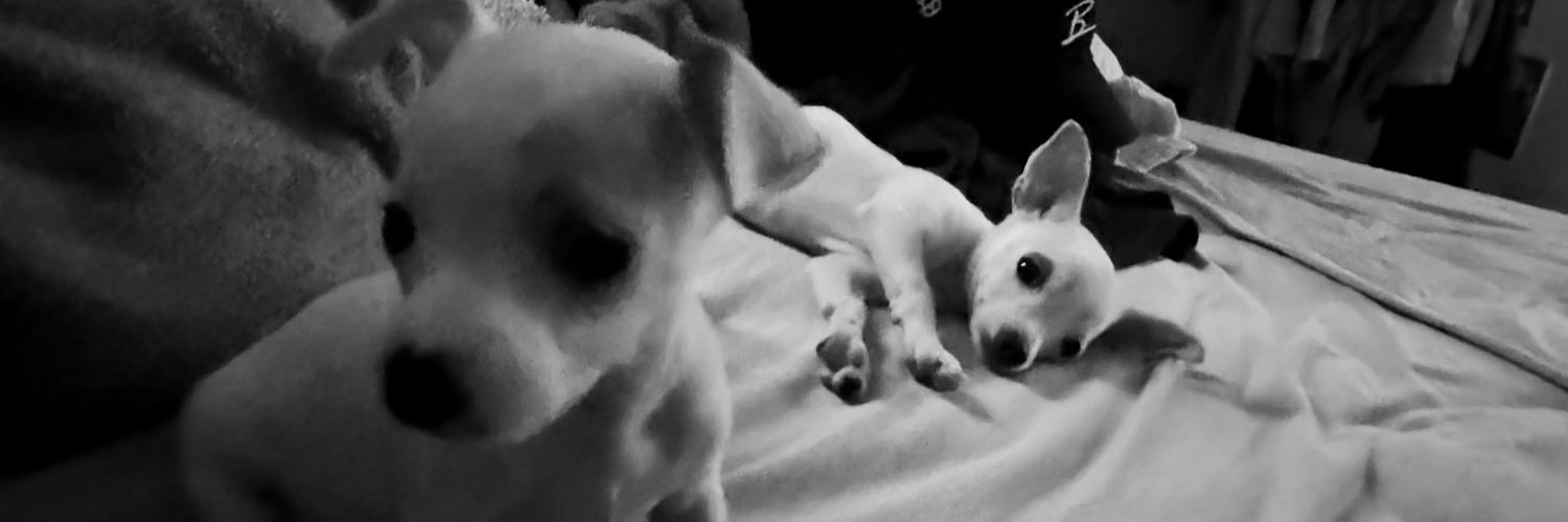 felpsmusic's profile banner image