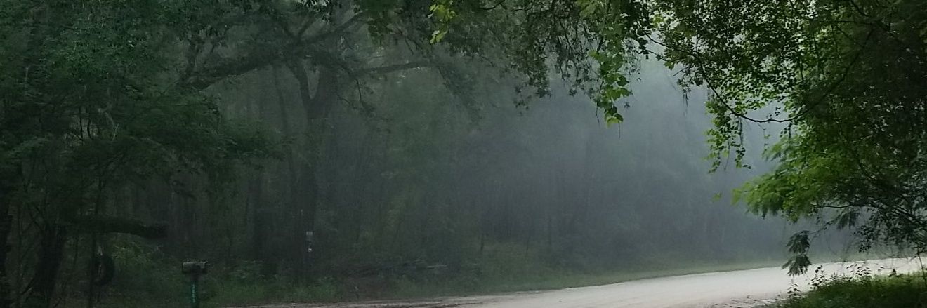 🌈Sayishi 🇨🇺 CubaLibre banner