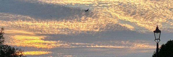 kpbooksnstuff Profile Banner