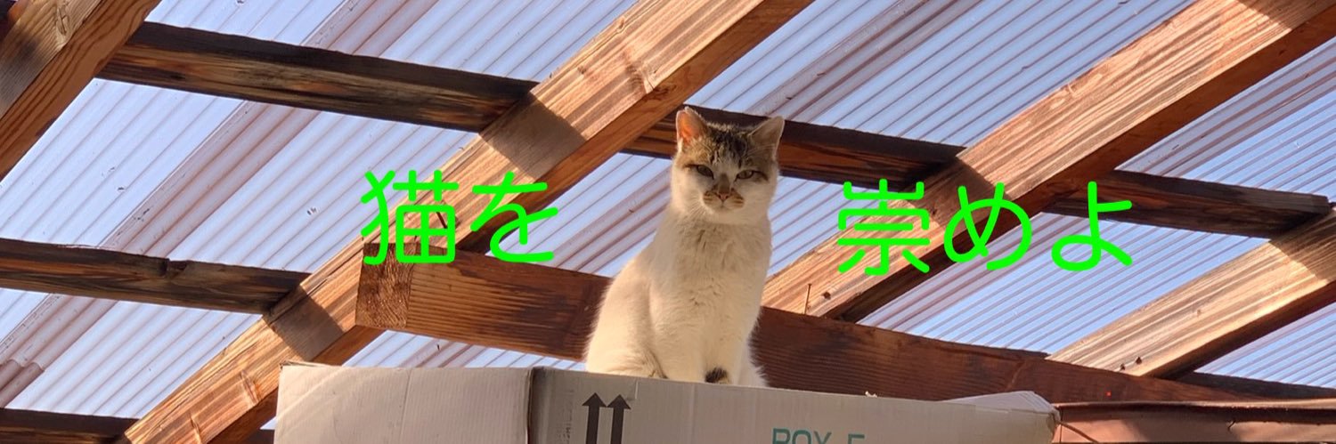 bakazuchi's profile banner image