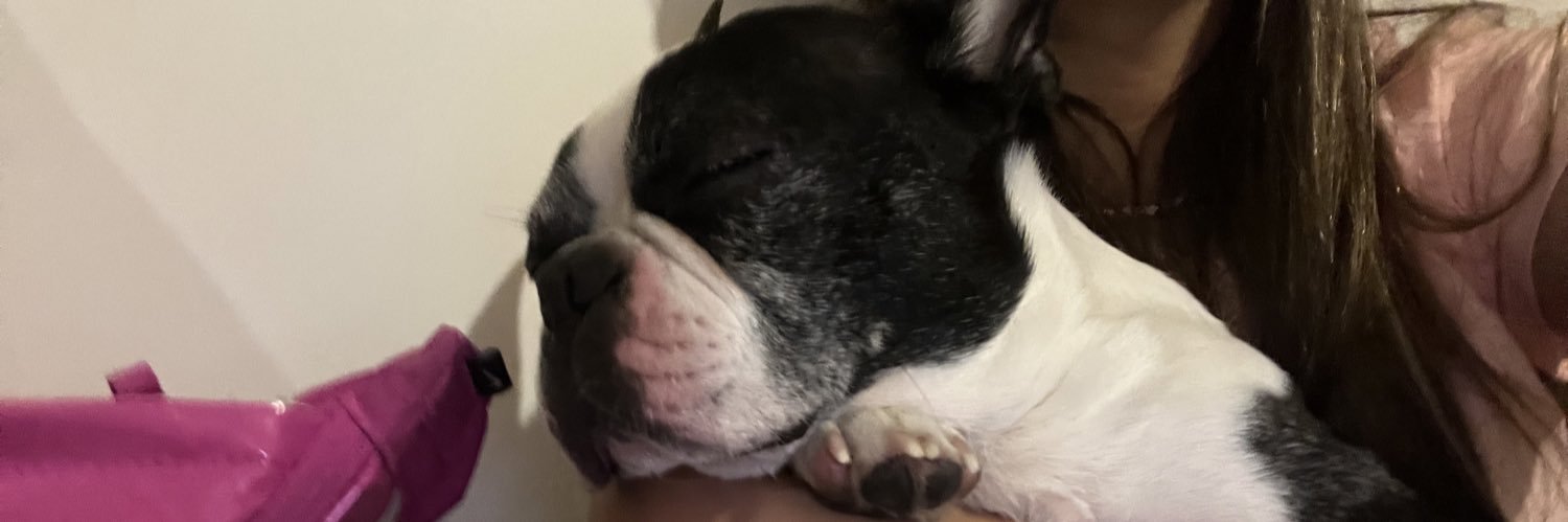 luulimarrtin's profile banner image