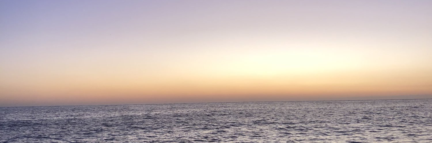 NorajfNora's profile banner image