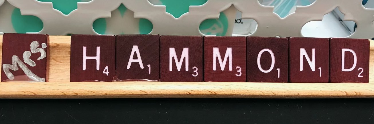 MrsHammondAP's profile banner image