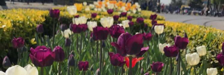 NNr1212's profile banner image