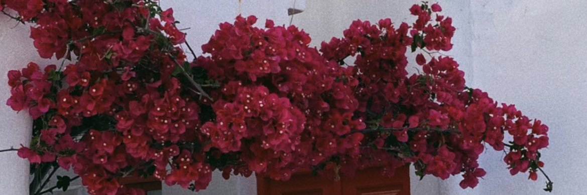 MabelRequena11's profile banner image