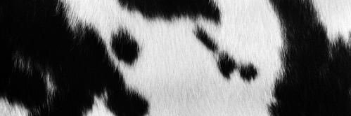 atchristian's profile banner image