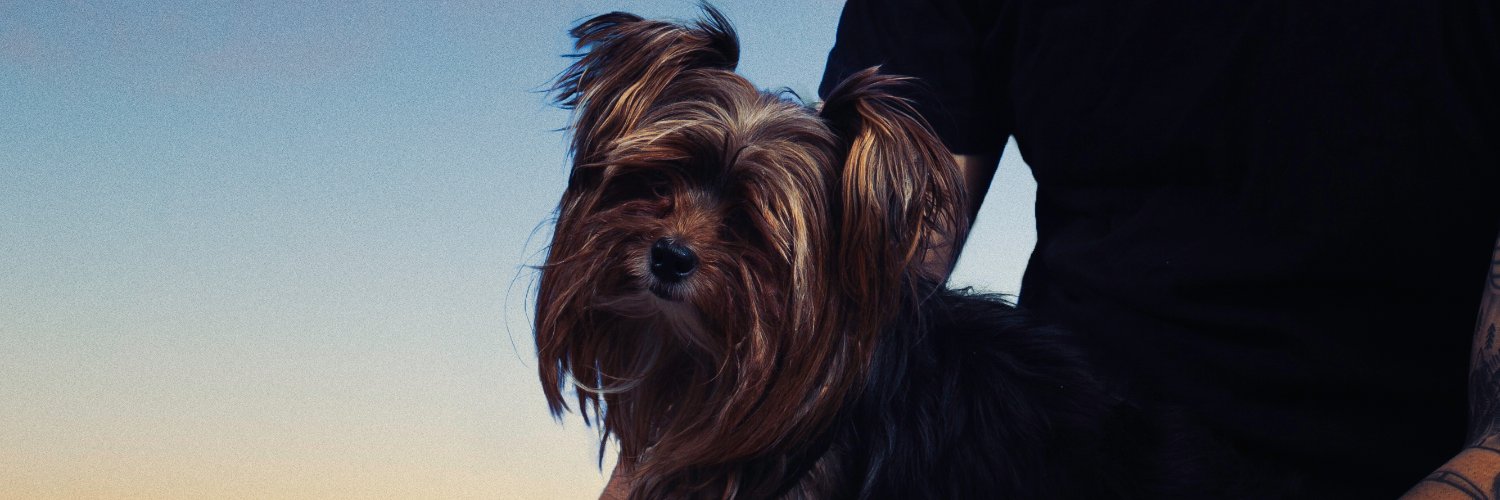 pvlmdz's profile banner image