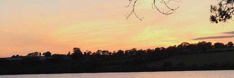 rianoshea2000's profile banner image