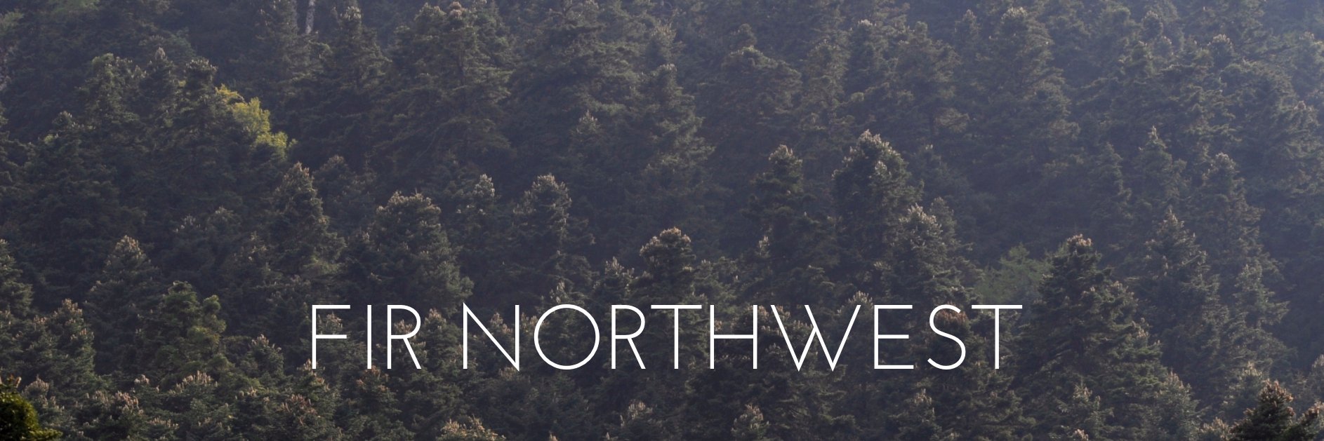 firnw's profile banner image