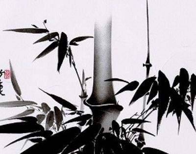 vango0620's profile banner image