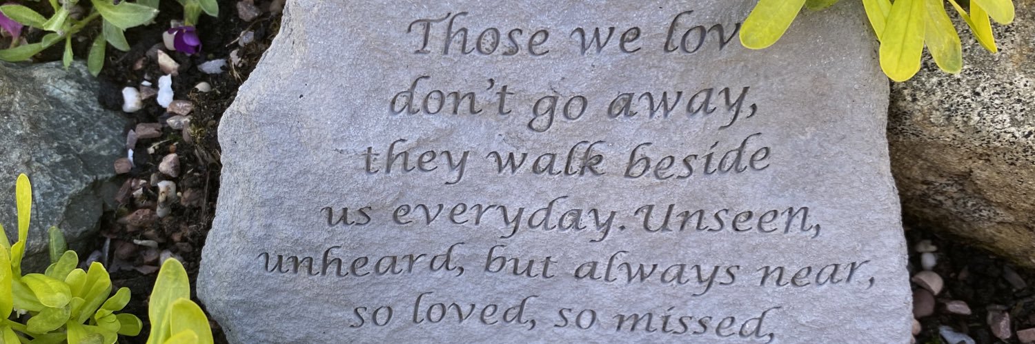 Nicky 🐝-||- banner