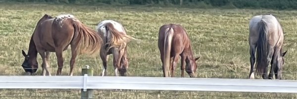 MandyMarie07 Profile Banner