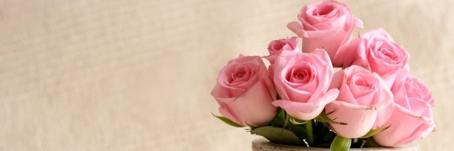 dauri0829's profile banner image
