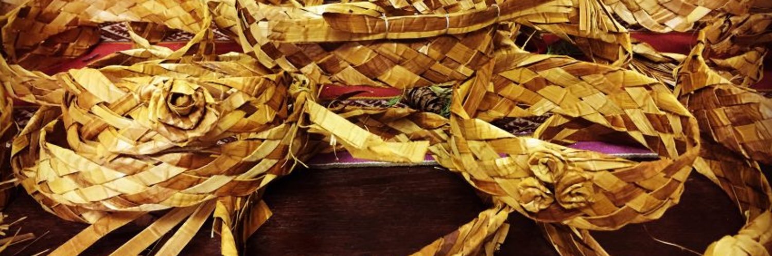 Dr. Shelly Wilton banner