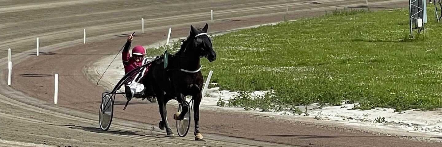 Sammy Gustafsson banner