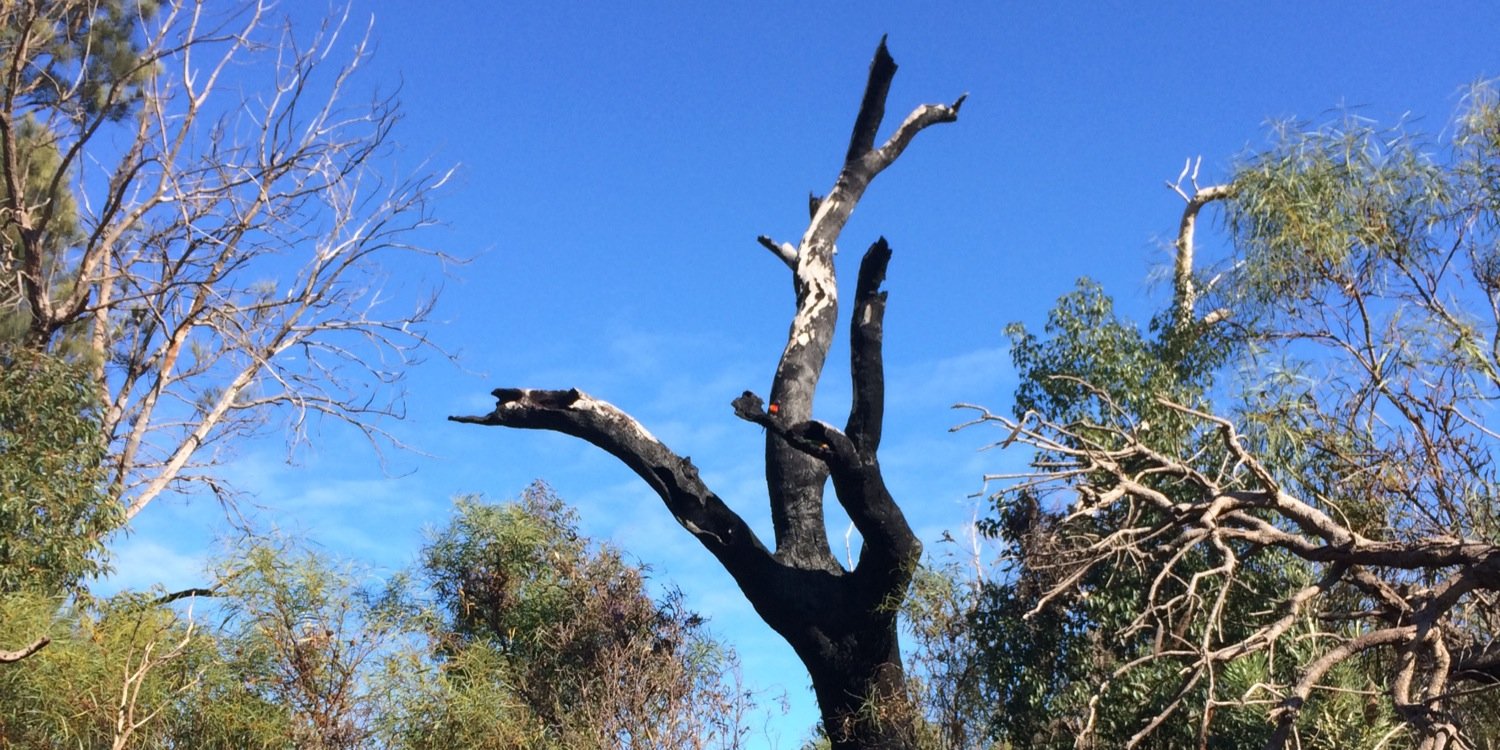 iansambo's profile banner image