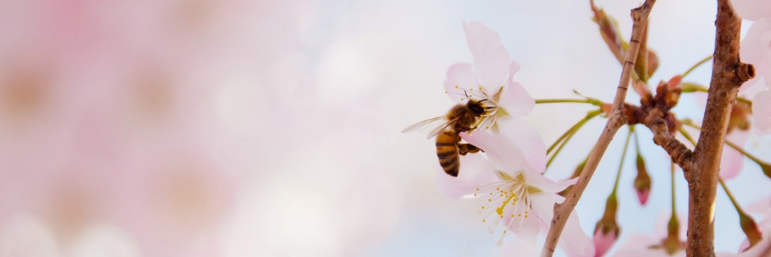 acufertilitynet's profile banner image