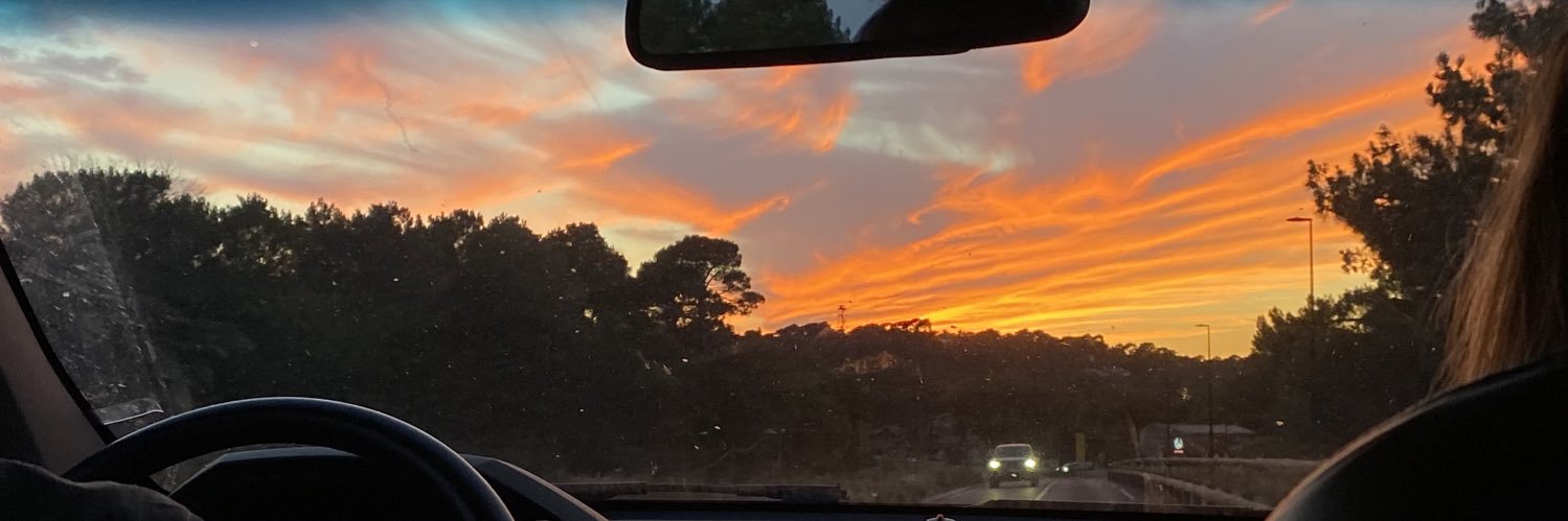itsarianepv's profile banner image