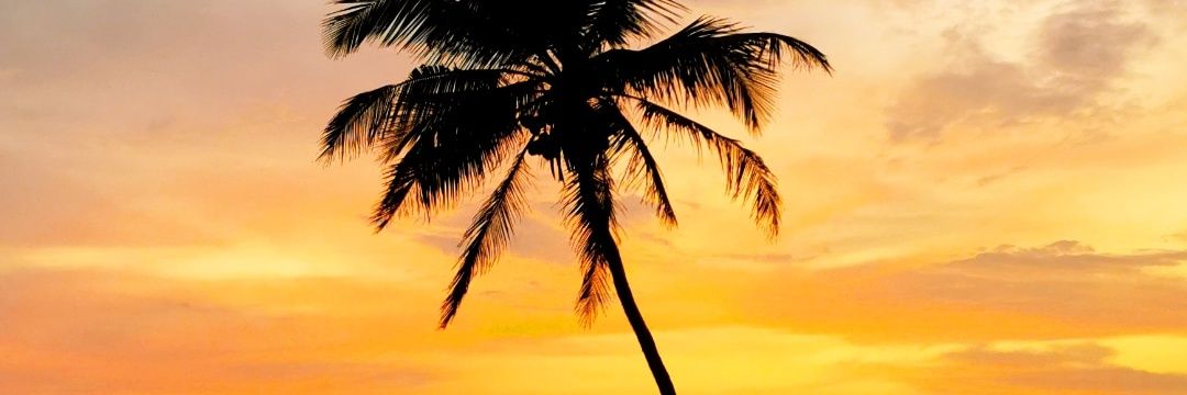 JonasKronwitter's profile banner image
