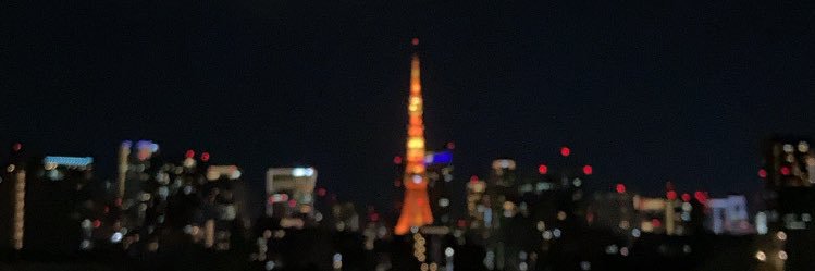 CHIHO🦭 banner
