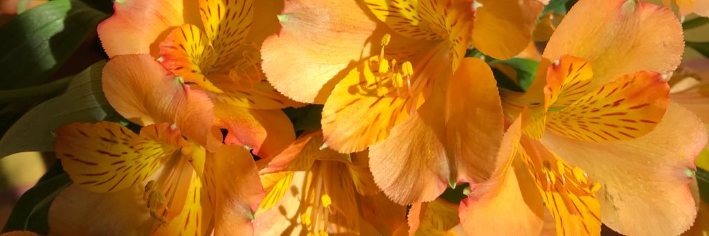 mrgm51's profile banner image
