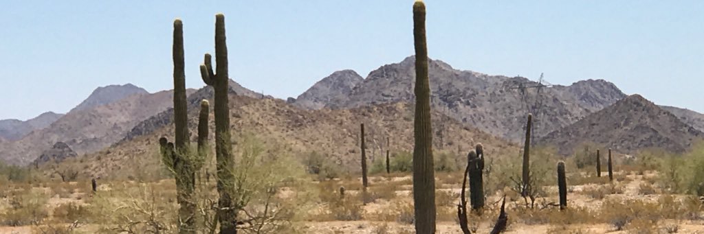 Peggy DeSeure banner