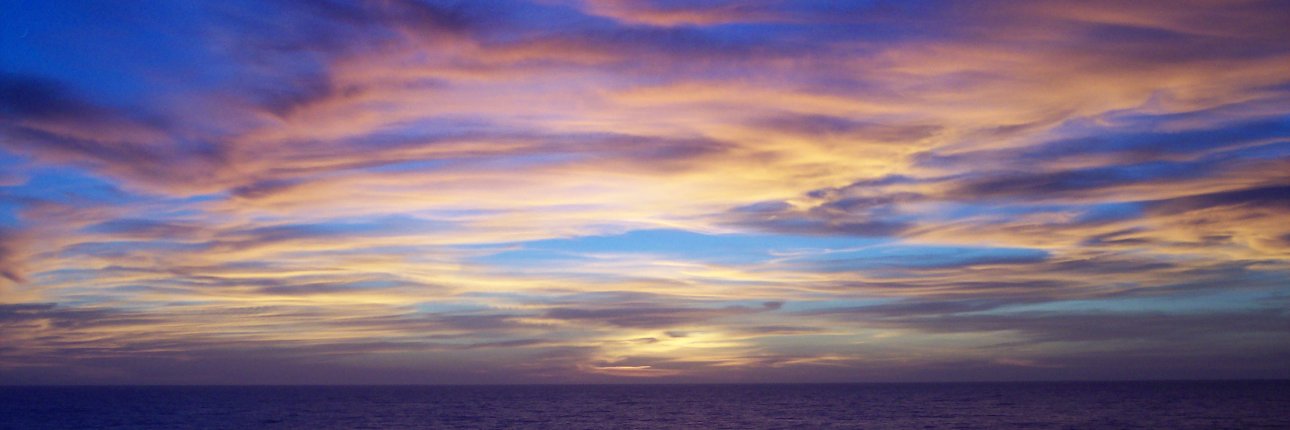 ElenaFiandro's profile banner image