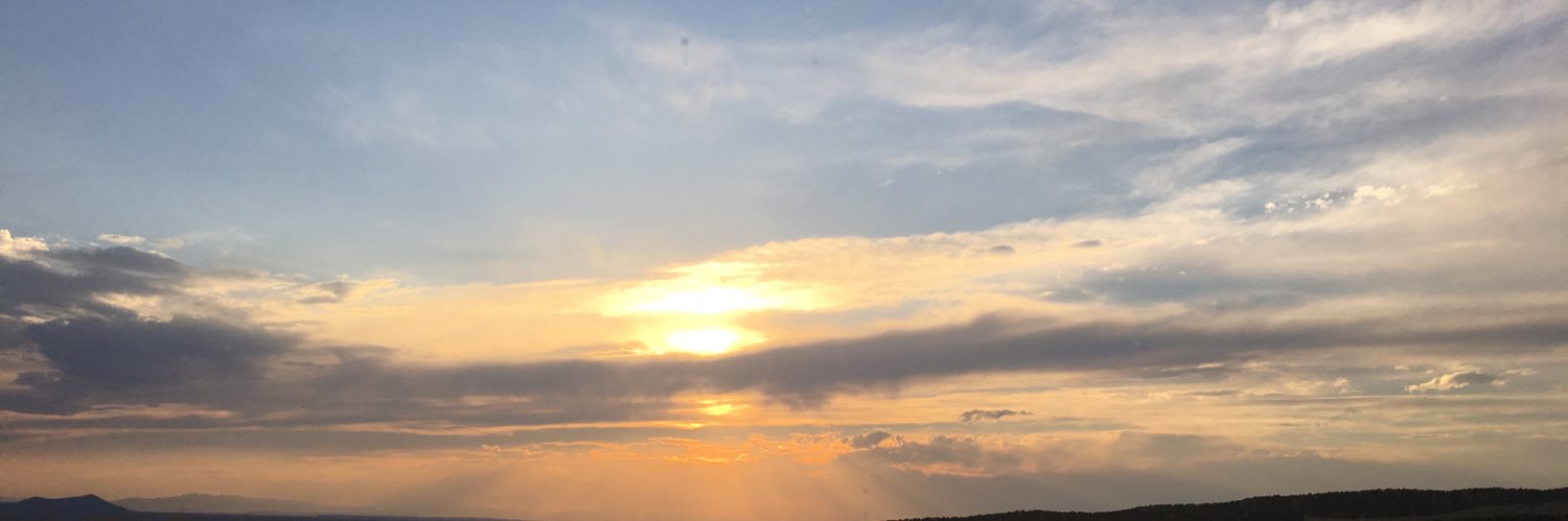 townsendlabluvr's profile banner image