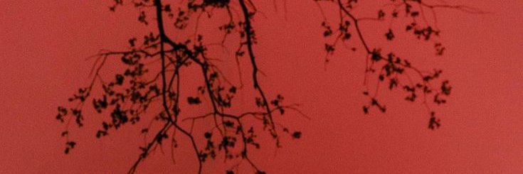 sinnersdust's profile banner image