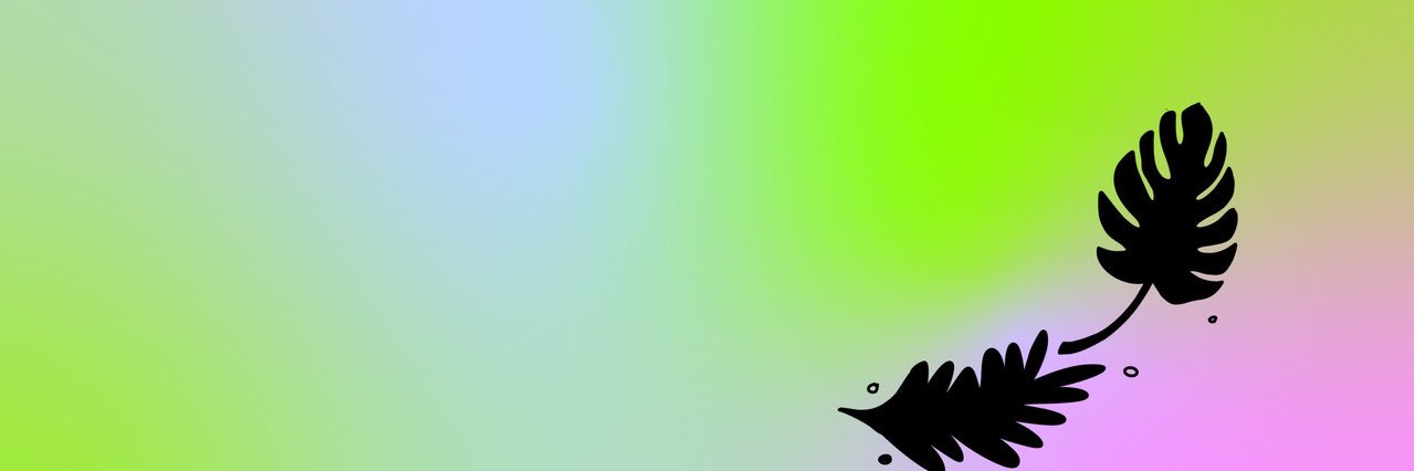 The Craft Drinks Co. banner