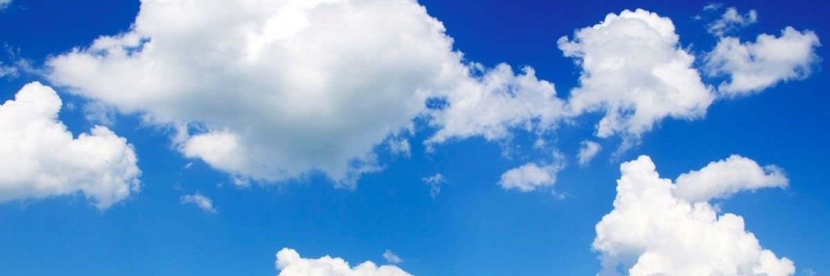 Mechi Fabbri banner