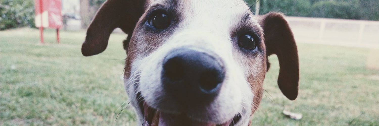 Valeengerbaudo's profile banner image