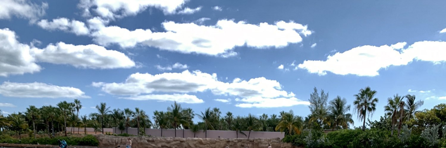 MKristeva's profile banner image