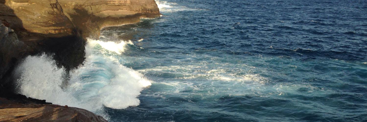 Justin Carroll banner