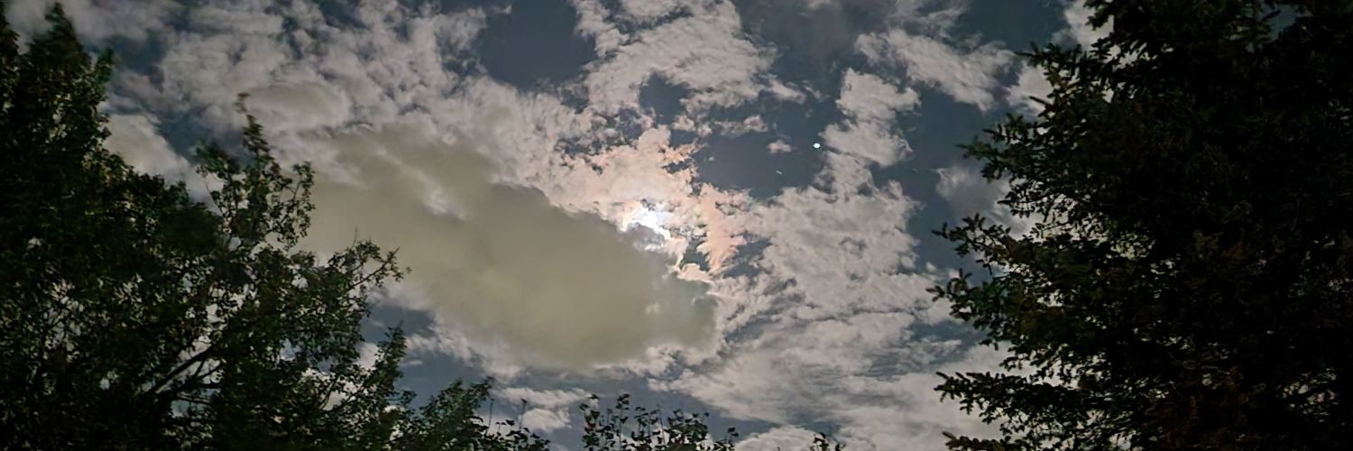 x313chad's profile banner image