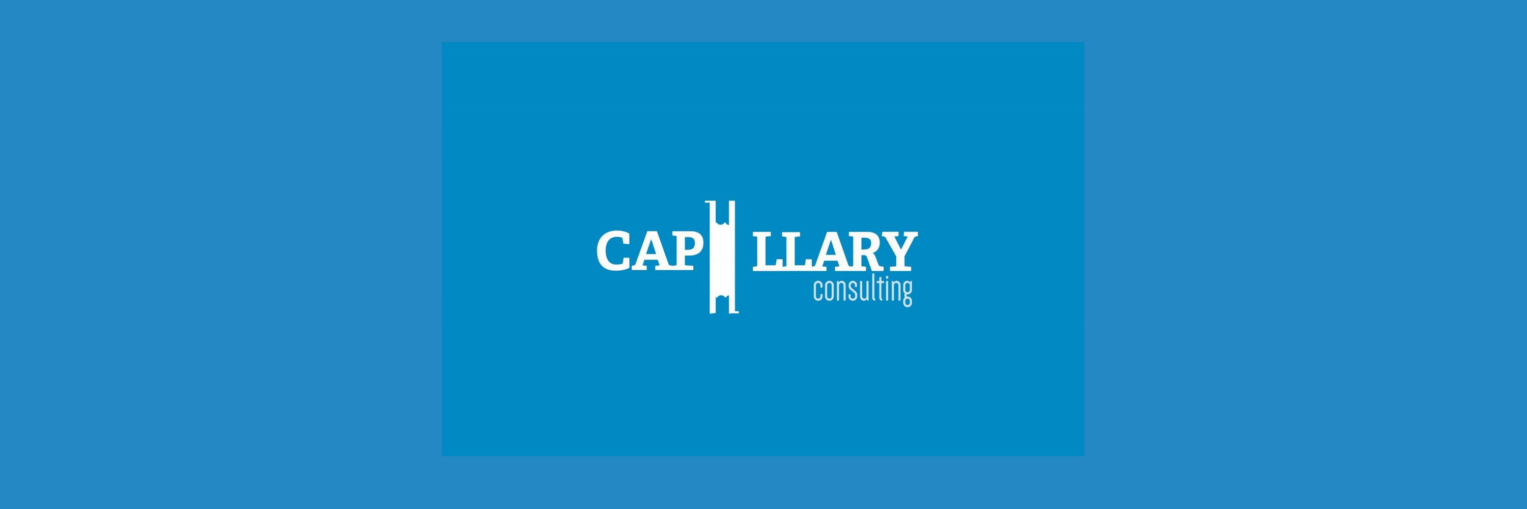 Capillary Consulting banner