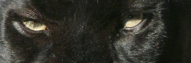 jjosesoliss's profile banner image