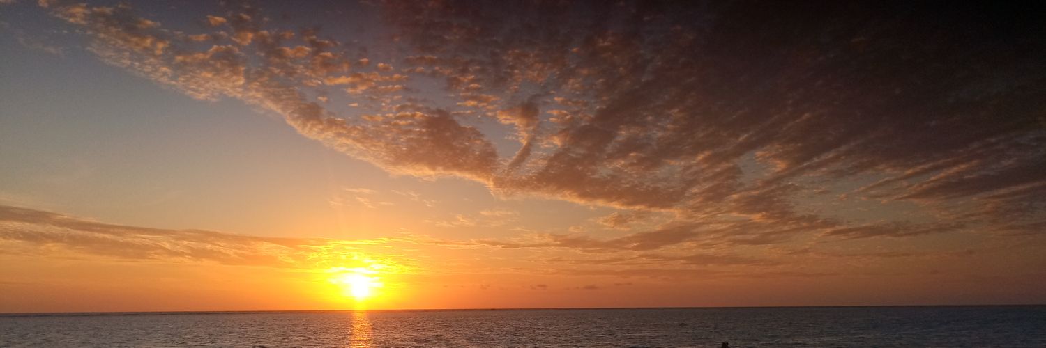Mayascout's profile banner image