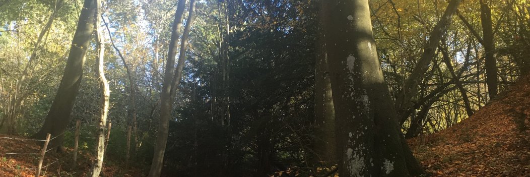 notnifty's profile banner image