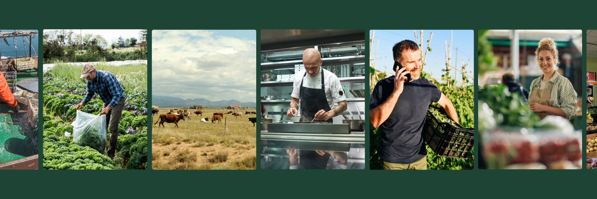 LocalLineInc's profile banner image