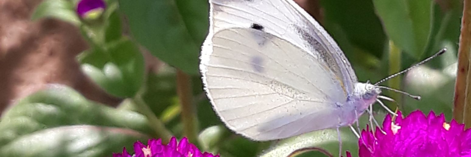 함께하는행복(운주정원 고암) banner