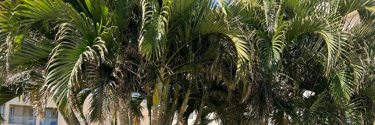 Em_bahaa3's profile banner image