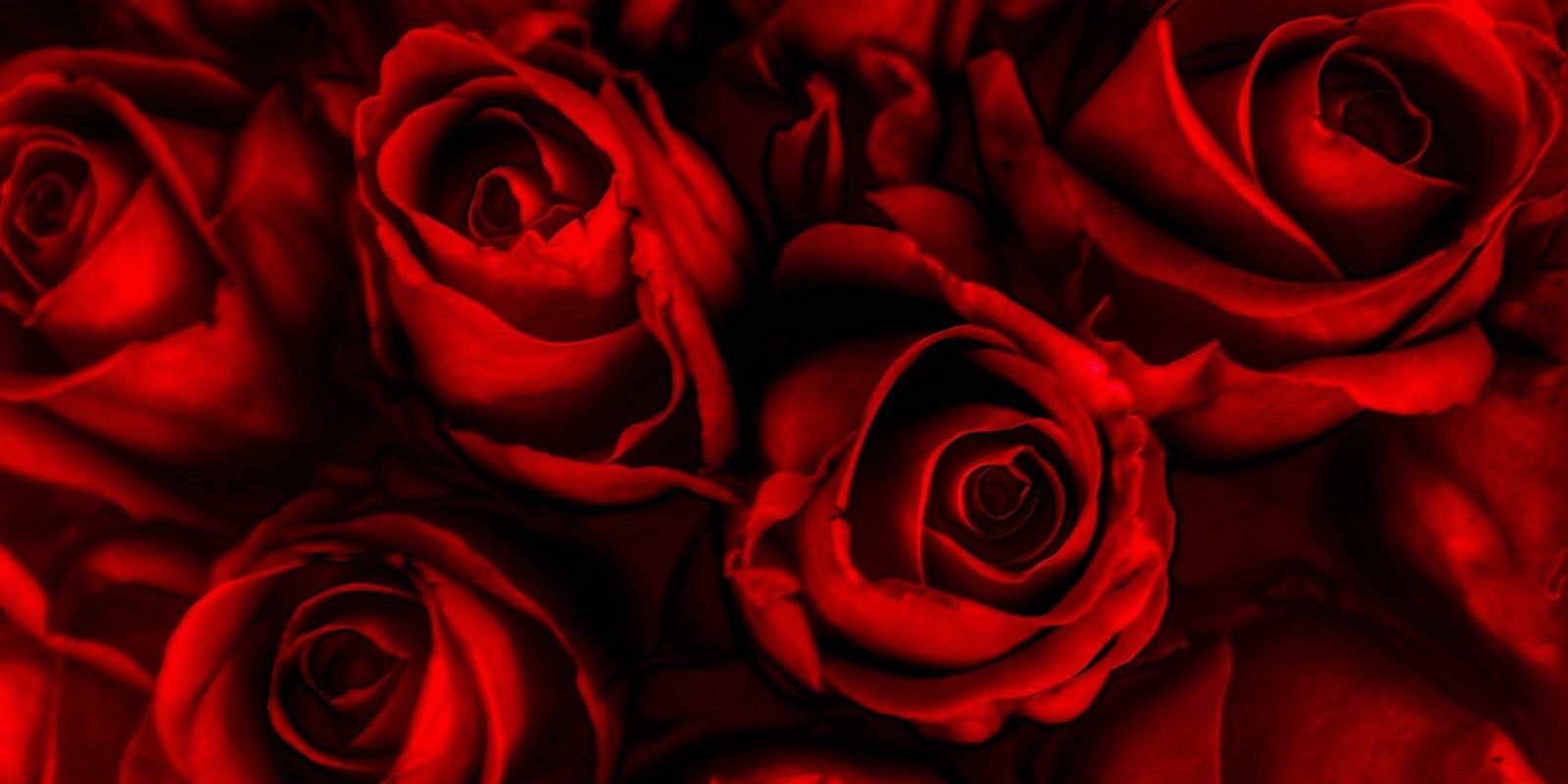 ChelseaThomas's profile banner image