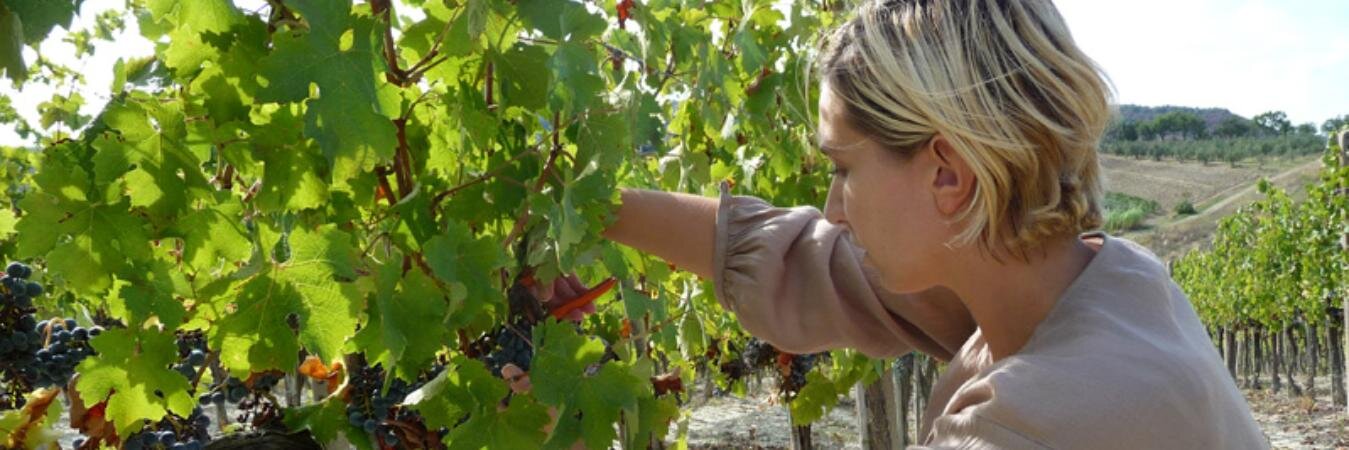 PersonalWineShopper banner