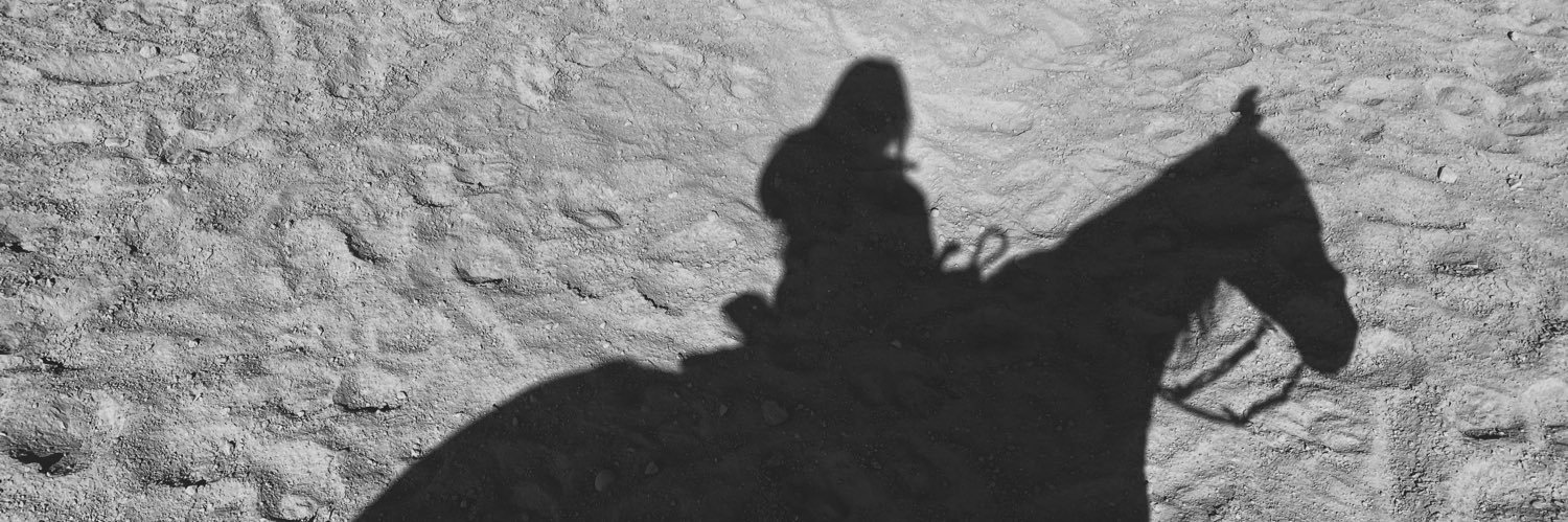 haley_applegate's profile banner image