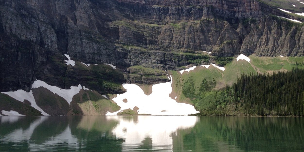 Dr. Lisa Everitt banner