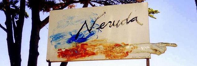 Fundación Isla Negra banner