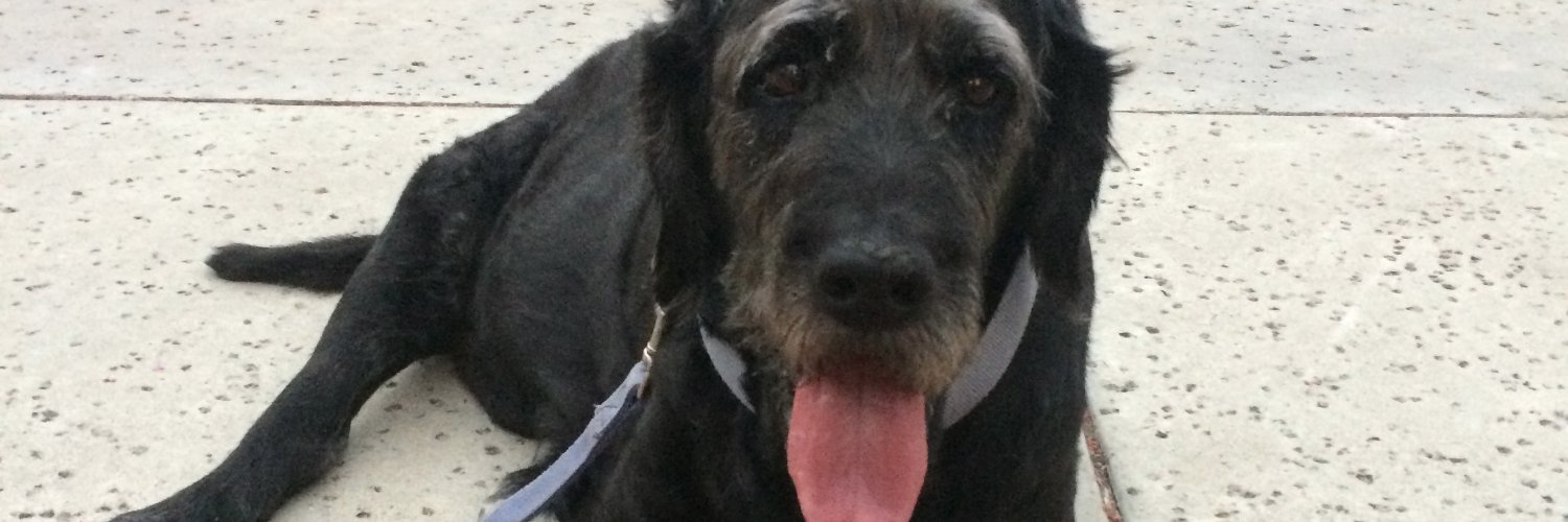 AMarkrosenberg's profile banner image
