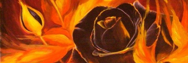 blackrose767's profile banner image